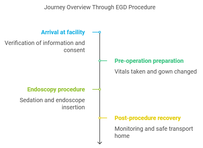 A timeline showing the key stages of an EGD procedure, including arrival, preparation, procedure, and recovery.