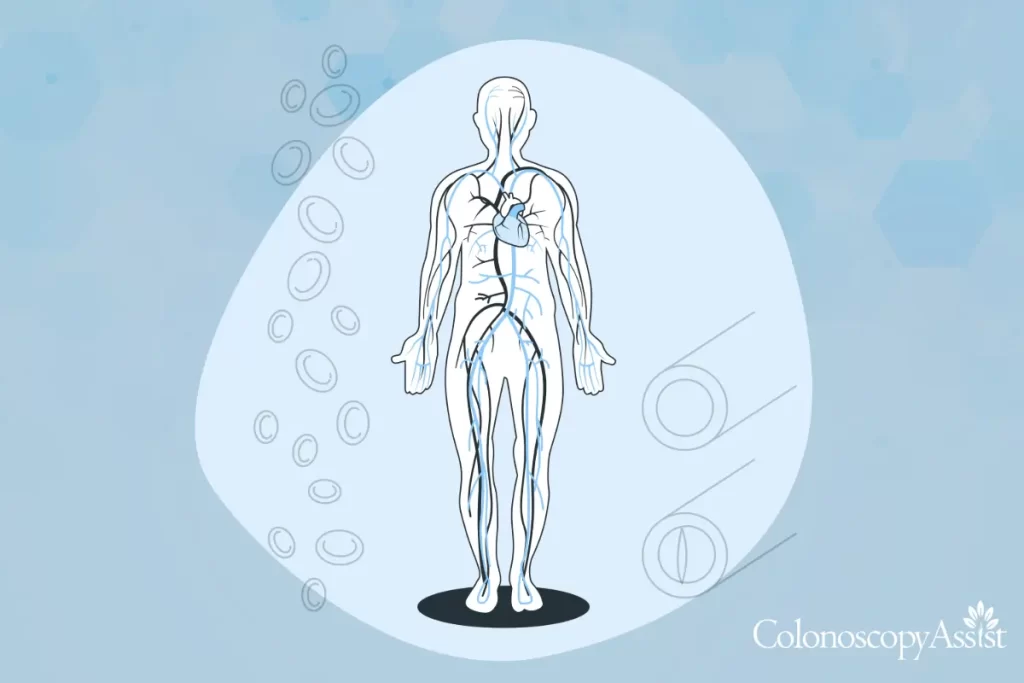 Illustration of human circulatory system with blood cells on the left and colonoscope view on the right. Background has hexagonal patterns. 