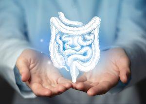 A person holds out their hands with a digital illustration of the human digestive tract, highlighting the intestines and colon, suggesting the importance of procedures like colonoscopy, floating above their palms.