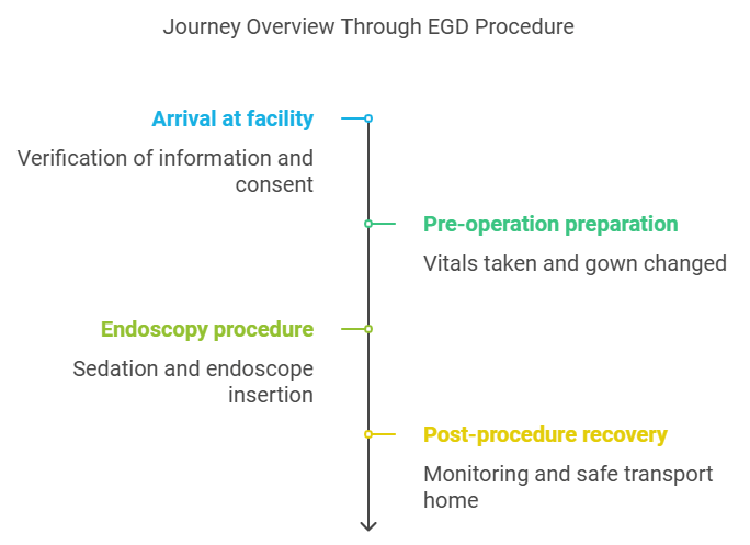 A timeline showing the key stages of an EGD procedure, including arrival, preparation, procedure, and recovery.